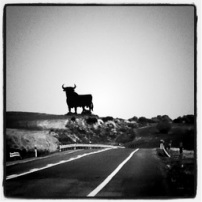 Bull Spain Gazpachomonk